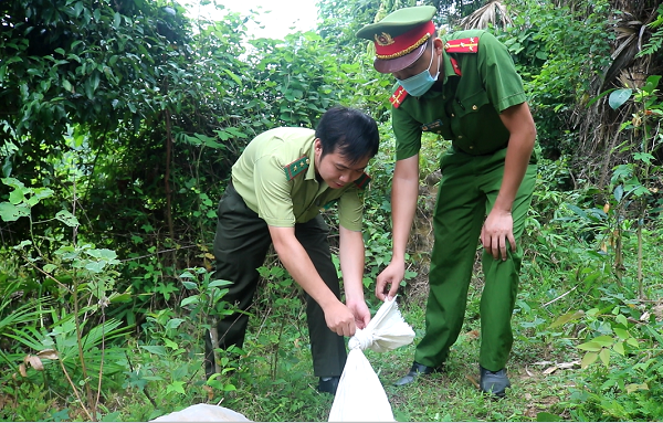Công an huyện Sơn Dương thả động vật quý hiếm về rừng